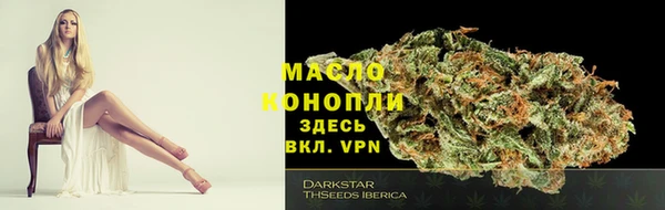 хмурый Вязьма