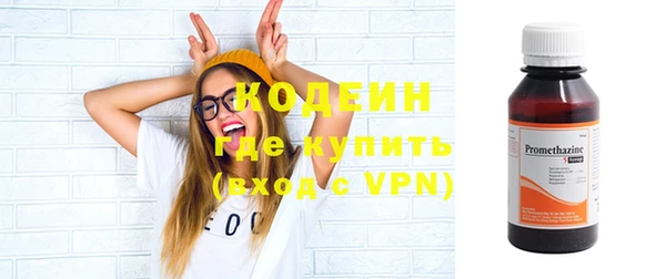прущая мука Вяземский