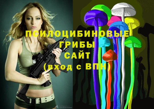 хмурый Вязьма