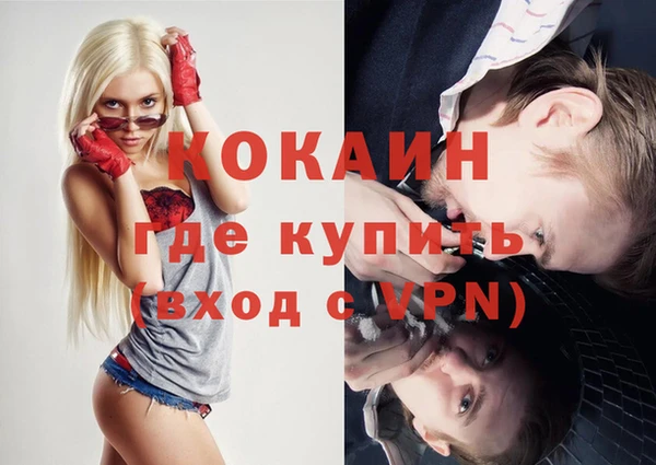 прущая мука Вяземский