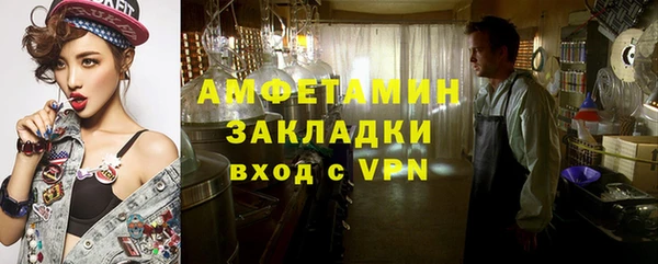 прущая мука Вяземский