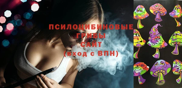 прущая мука Вяземский