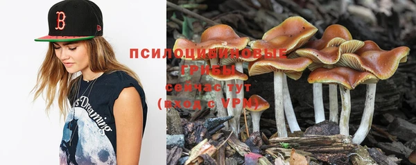 хмурый Вязьма