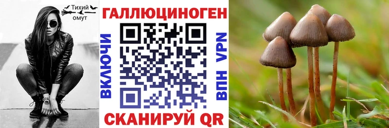 Галлюциногенные грибы Cubensis Омск