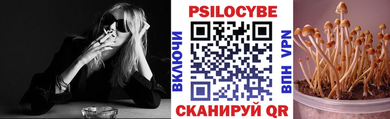 сколько стоит Омск Псилоцибиновые грибы ЛСД