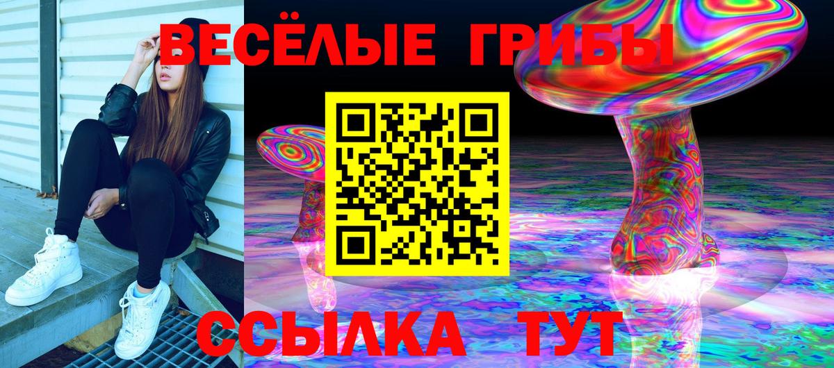 Галлюциногенные грибы Psilocybe Омск